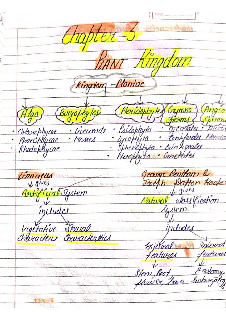Chapter 3 Plant Kingdom Class 11 StudiGoo