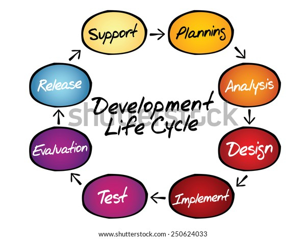 Circular Flow Chart Life Cycle Development Stock Vector Royalty Free 