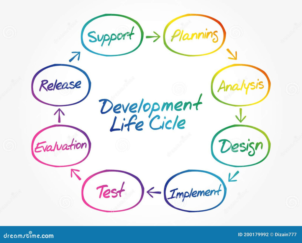Circular Flow Chart Of Life Cycle Stock Illustration Illustration Of 