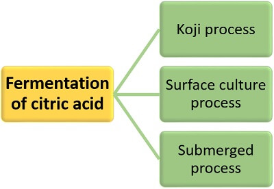 Citric Acid Production Process Flow Diagram