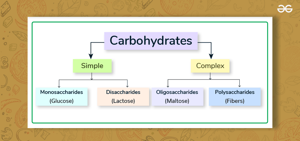 Classification Of Carbohydrates Carbohydrate Types Illustration