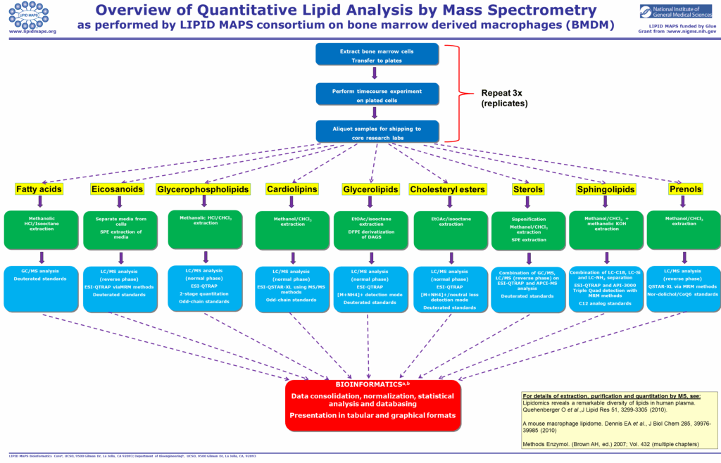 Classification Of Lipids Chart A Visual Reference Of Charts Chart Master