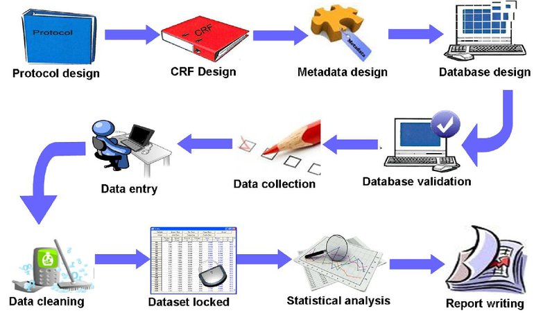Clinical Data Management Flow Chart A Visual Reference Of Charts 