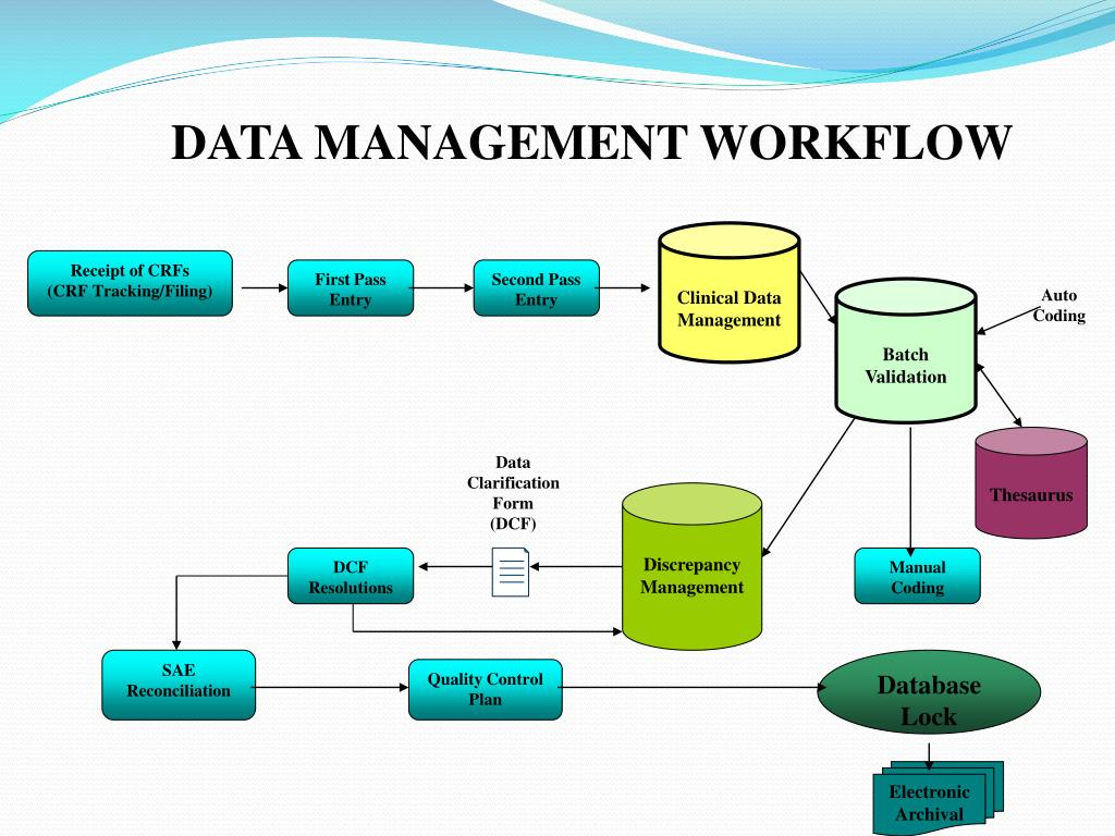 Clinical Data Management Process Flow Chart Clinical Data Mangement 