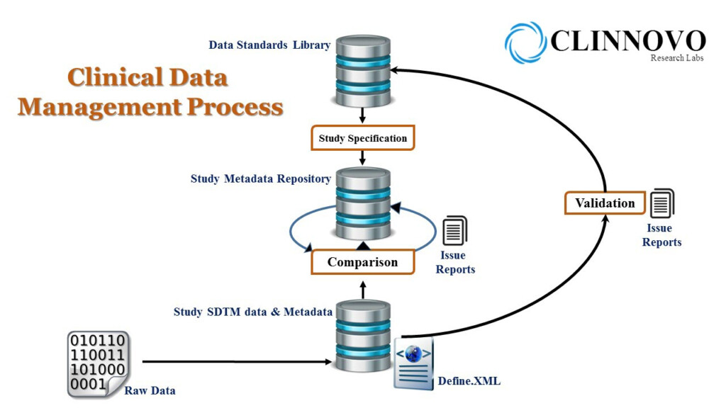 Clinical Data Management Work Flow Chart Data Flow Of The Clinical 