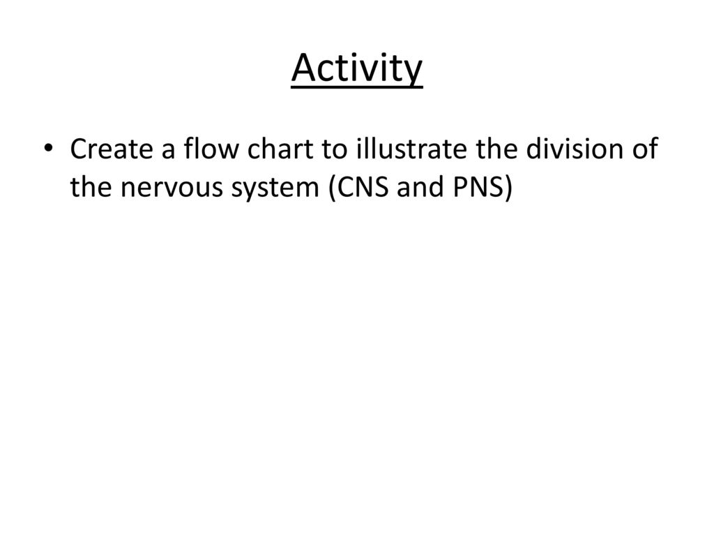 Cns And Pns Flow Chart Pools Home