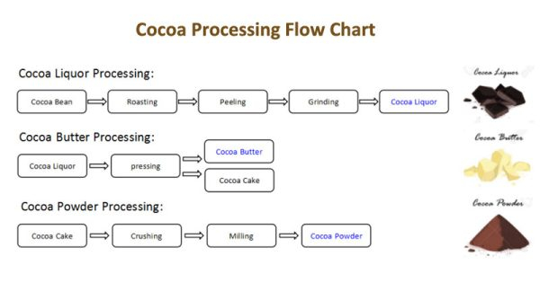 Cocoa Processing Flow Chart From Bean To Powder Cocoa Machinery