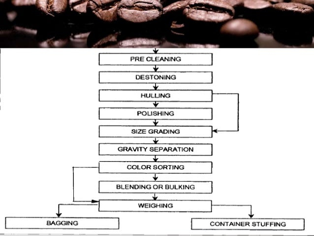 Coffee Production Process Flow Chart Ponasa