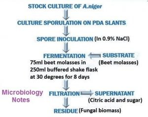 Commercial Production Of Citric Acid Shanghai Chemex