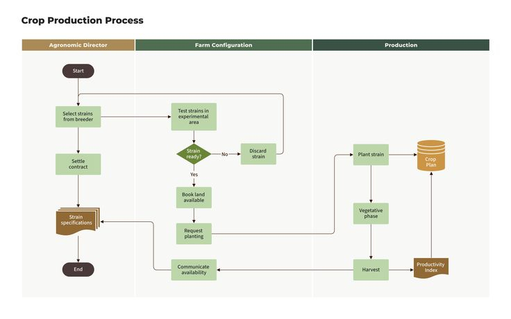 Compact Flow Chart Showing Crop Production Process Using Natural Green 