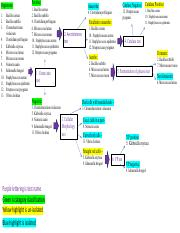 Complete Flow Chart pdf Organisms 1 2 3 4 5 6 7 8 9 10 11 