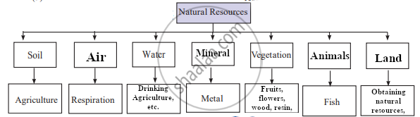 Complete The Following Flow Chart Natural Resources Soil Water 