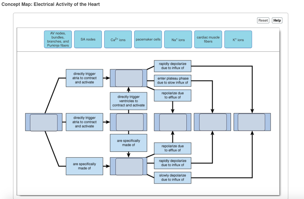 Concept Map Electrical Activity Of The Heart Emylee Philomena