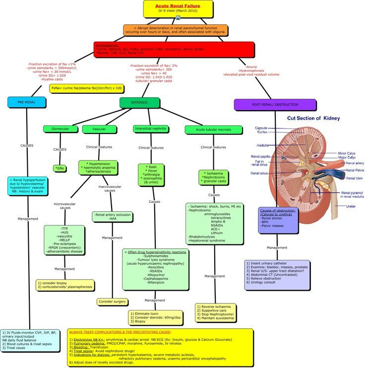 Concept Map For Chronic Renal Failure Printable Templates Free