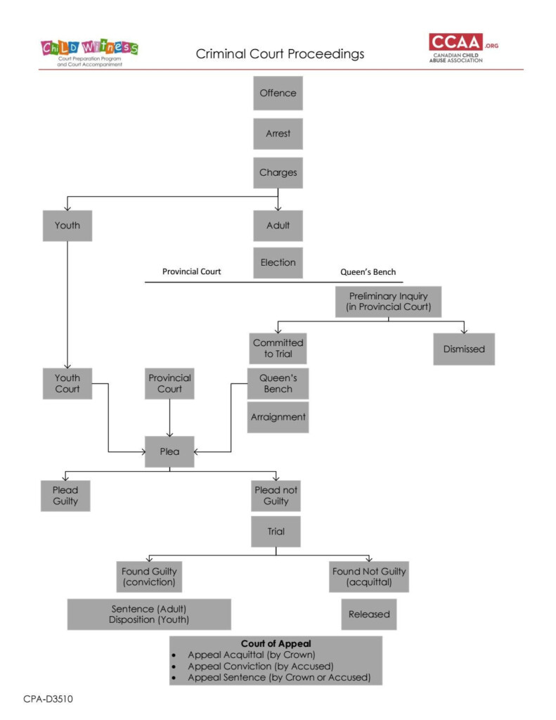 Court Process Flow Chart