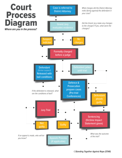 Court System Flow Chart