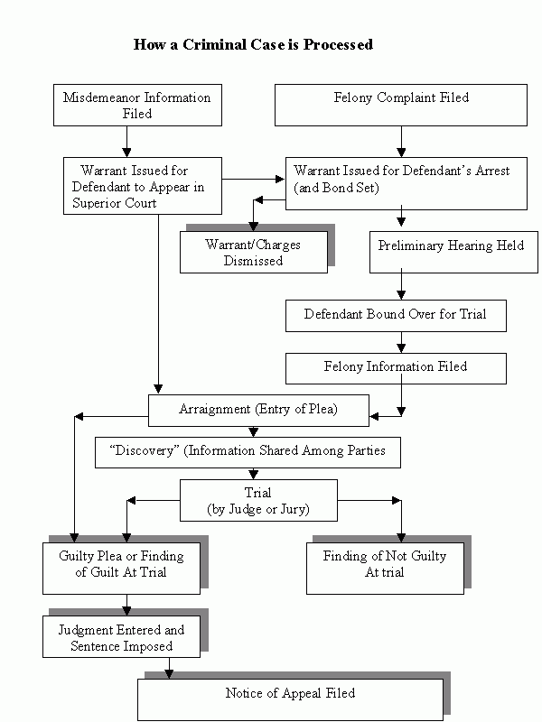 Criminal Court System Flow Chart