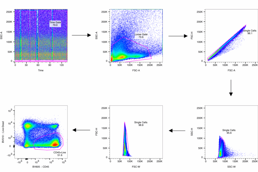 Define Flow Cytometry Wmmine