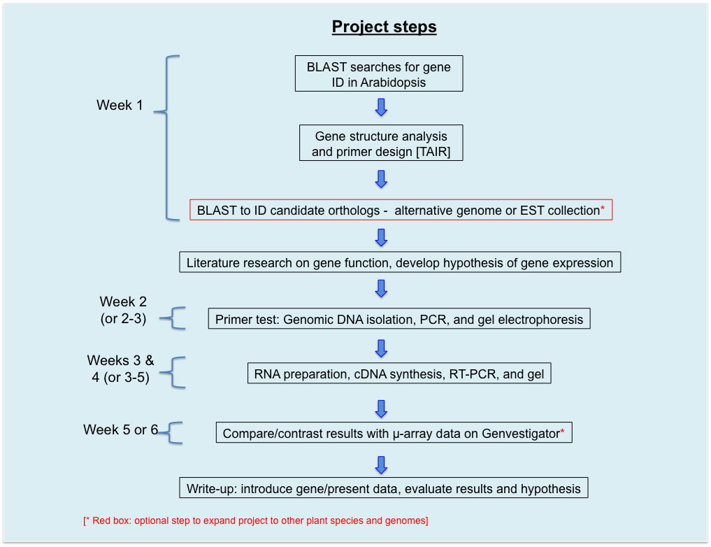 Diagram And Wiring Flow Chart Lab Procedure Images