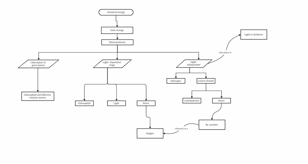 Diagram That Models Photosynthesis Photosynthesis Flow Chart NBKomputer