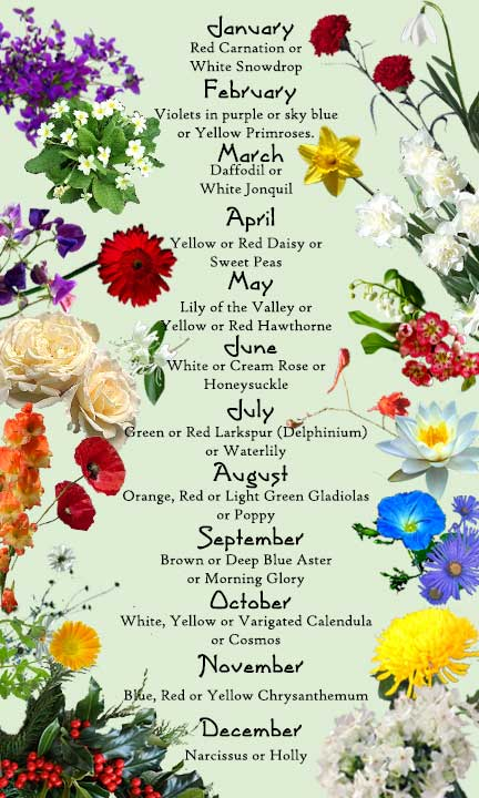 Die Frau BIRTHMONTH BIRTHSTONE FLOWER AND COLOR