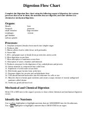 Digestive System Flow Chart pdf Digestion Flow Chart Complete The 