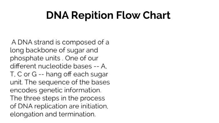 DNA Replication Flow Chart By Deltrick Berry On Prezi