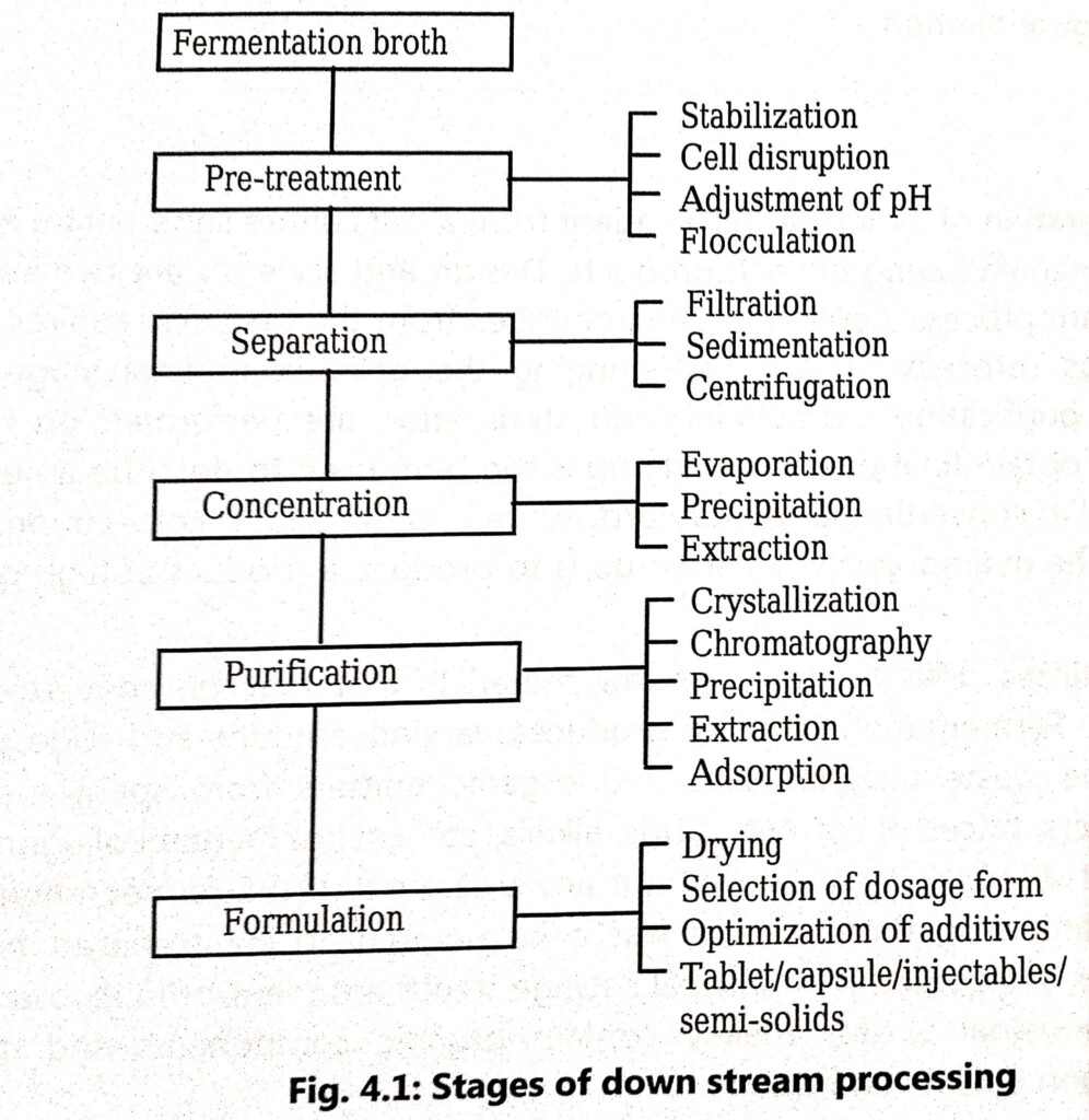 Downstream Processing Biology Ease