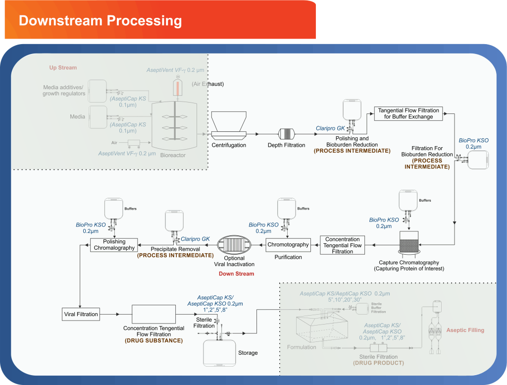 Downstream Processing