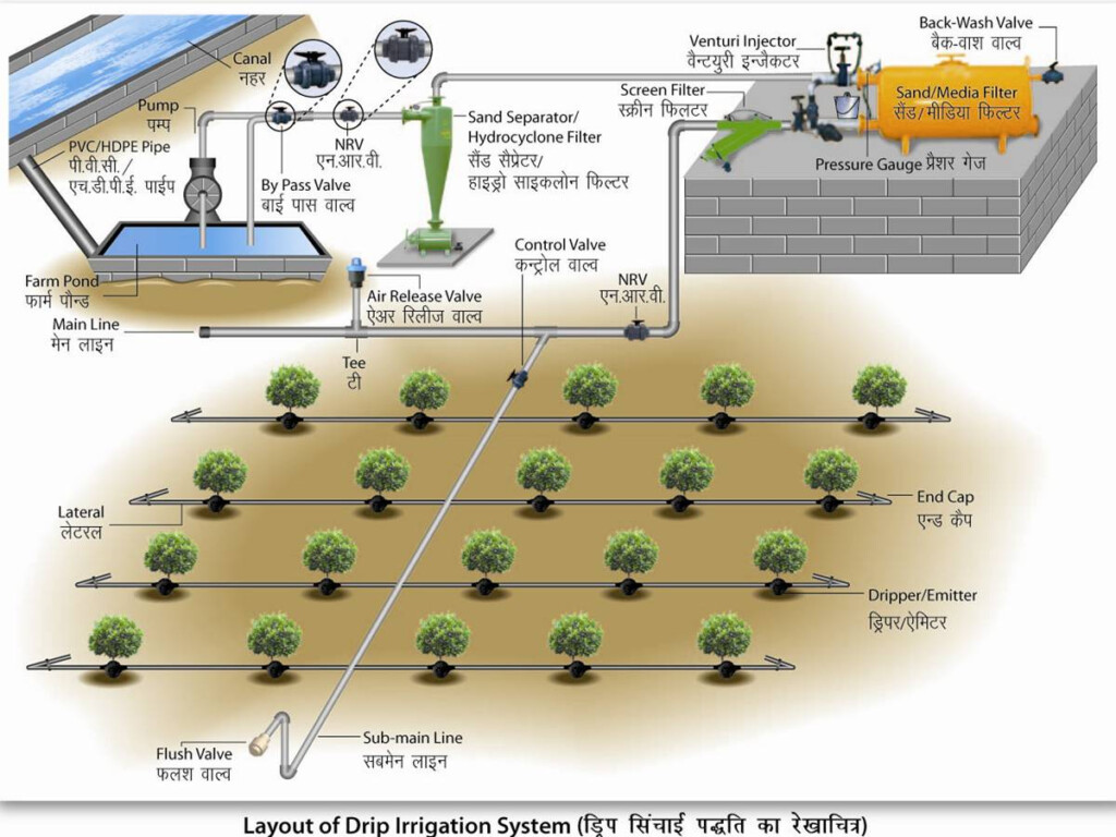 Drip Irrigation In Nigeria