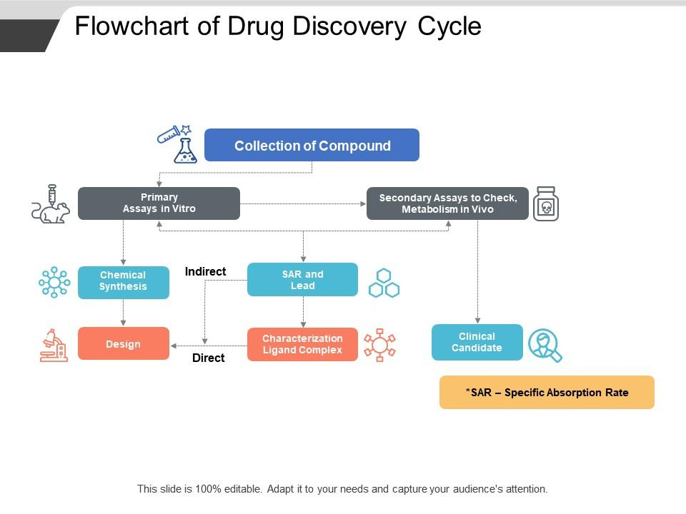 Drug Discovery Process Flow Chart Vrogue co