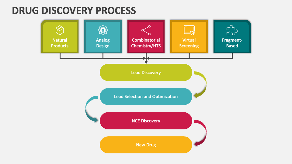 Drug Discovery Process Flow Chart Vrogue co