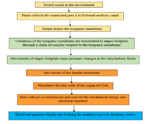 Ear PHYSIOLOGY OF HEARING Dr Meenesh Juvekar ENT Specialist