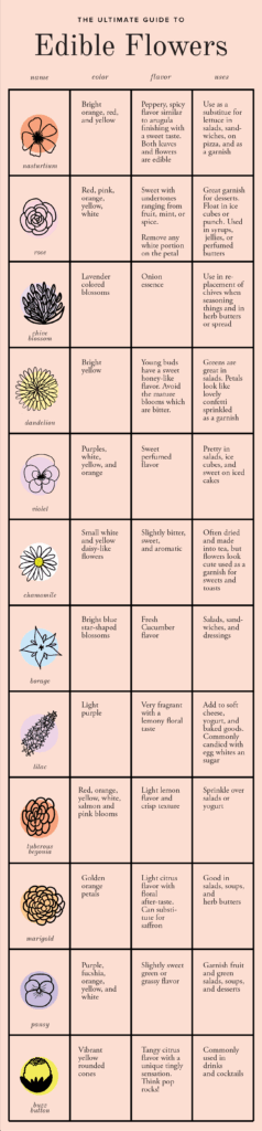 Edible Flower Chart