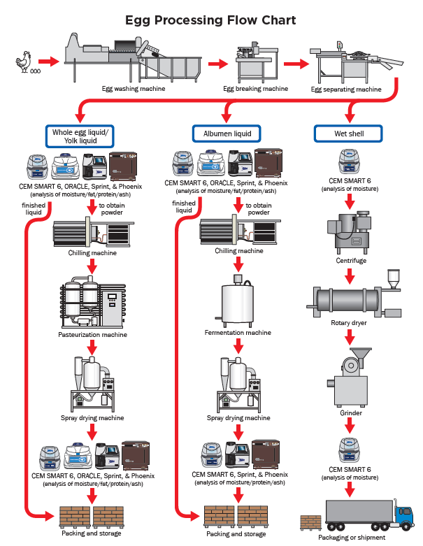 Egg Processing Flow Chart