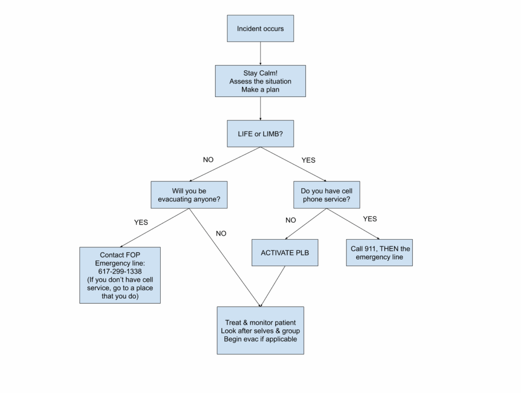 Emergency Action Plan Flow Chart