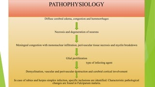 Encephalitis PPT