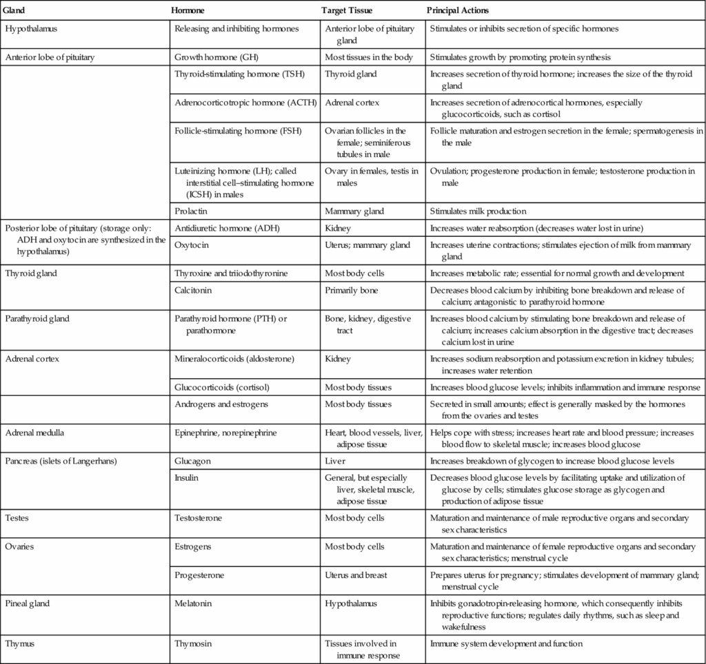 Endocrine Hormone Flow Chart