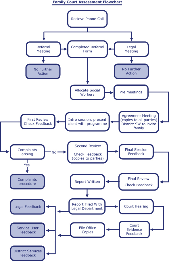 Family Court Assessment Flowchart