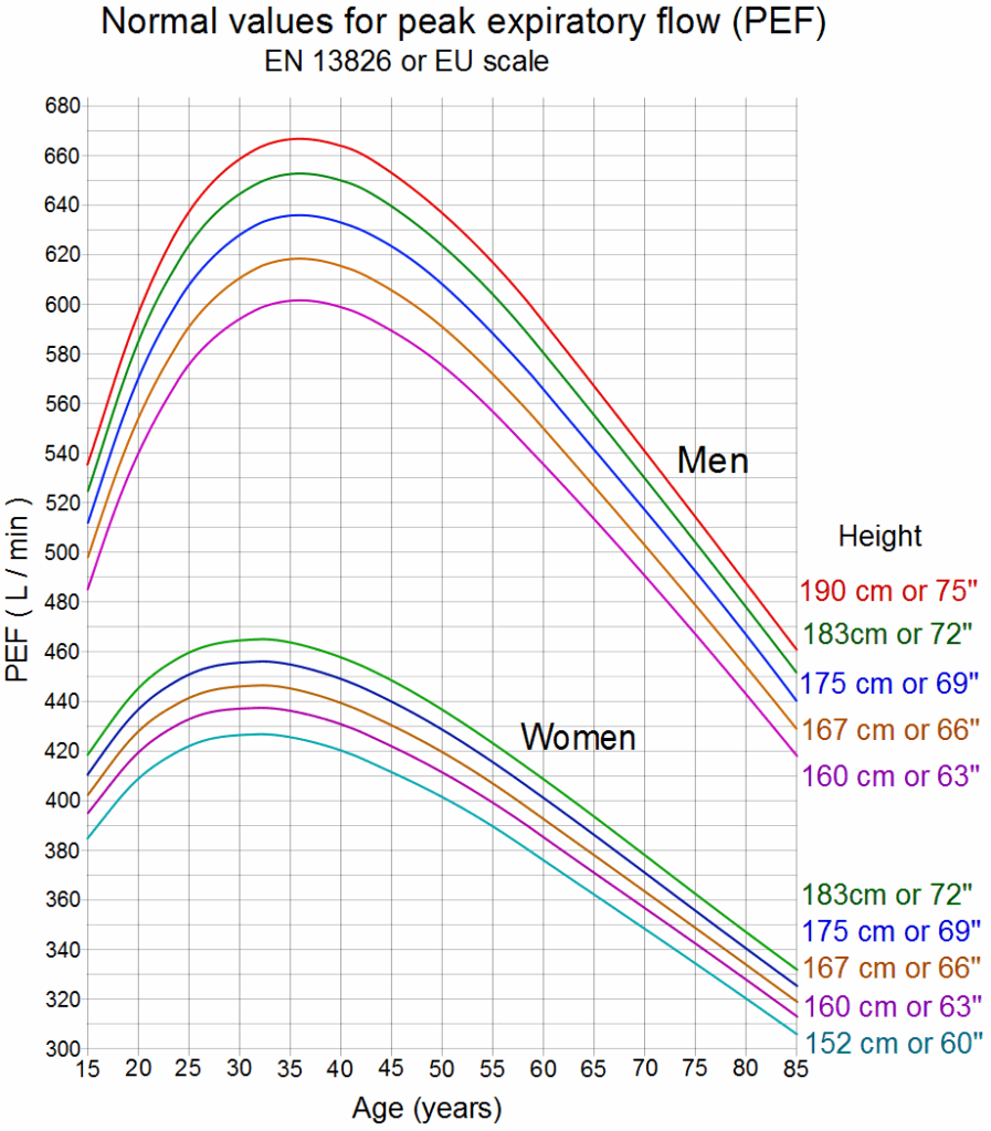 Female Peak Flow Chart