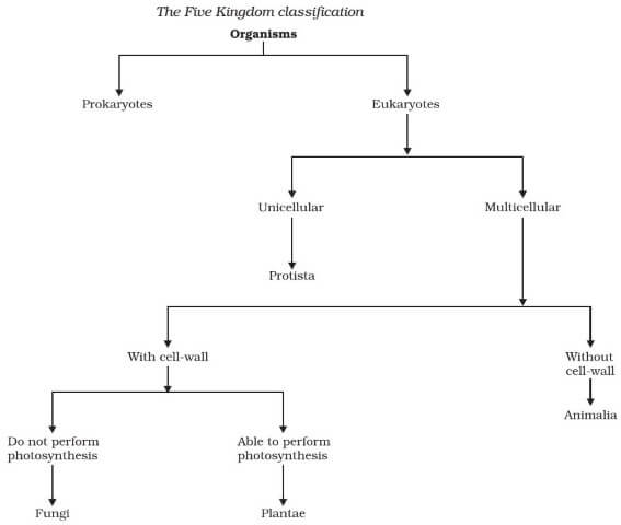 Five Kingdom Classification Of Plants And Animals Pmf Ias Fuse Box 