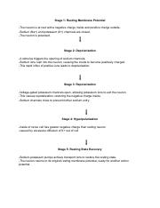 Flow Chart Action Potential pdf Stage 1 Resting Membrane Potential 