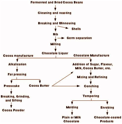 Flow Chart For Cocoa Processing Download Scientific D Vrogue co