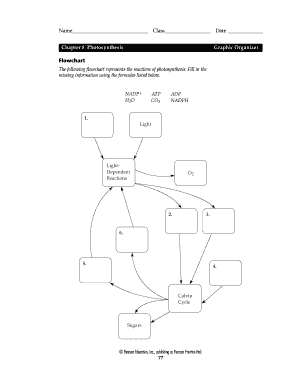 Flow Chart For Photosynthesis