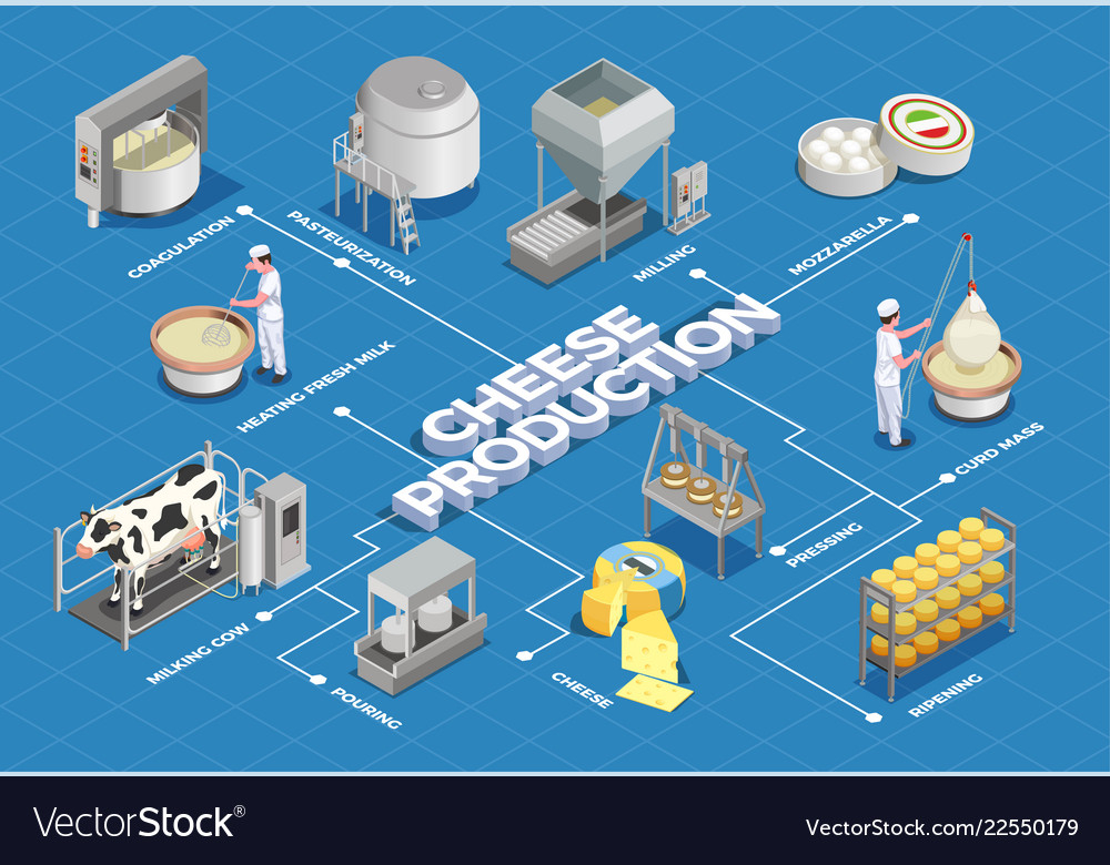 Flow Chart Of Cheese Production Flow Chart Cheesemaki Vrogue co