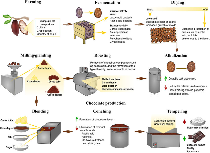 Flow Chart Of Chocolate Manufacturing Process Learn Diagram My XXX 