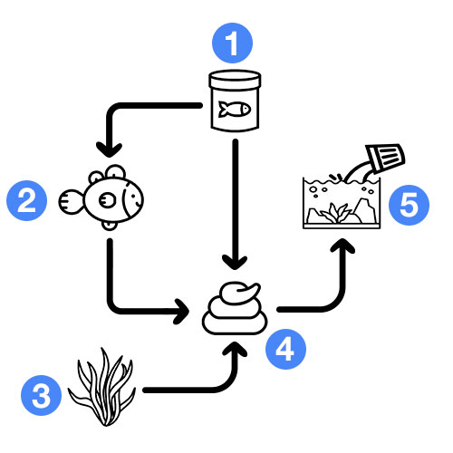 Flow Chart Of Nitrogen Cycle