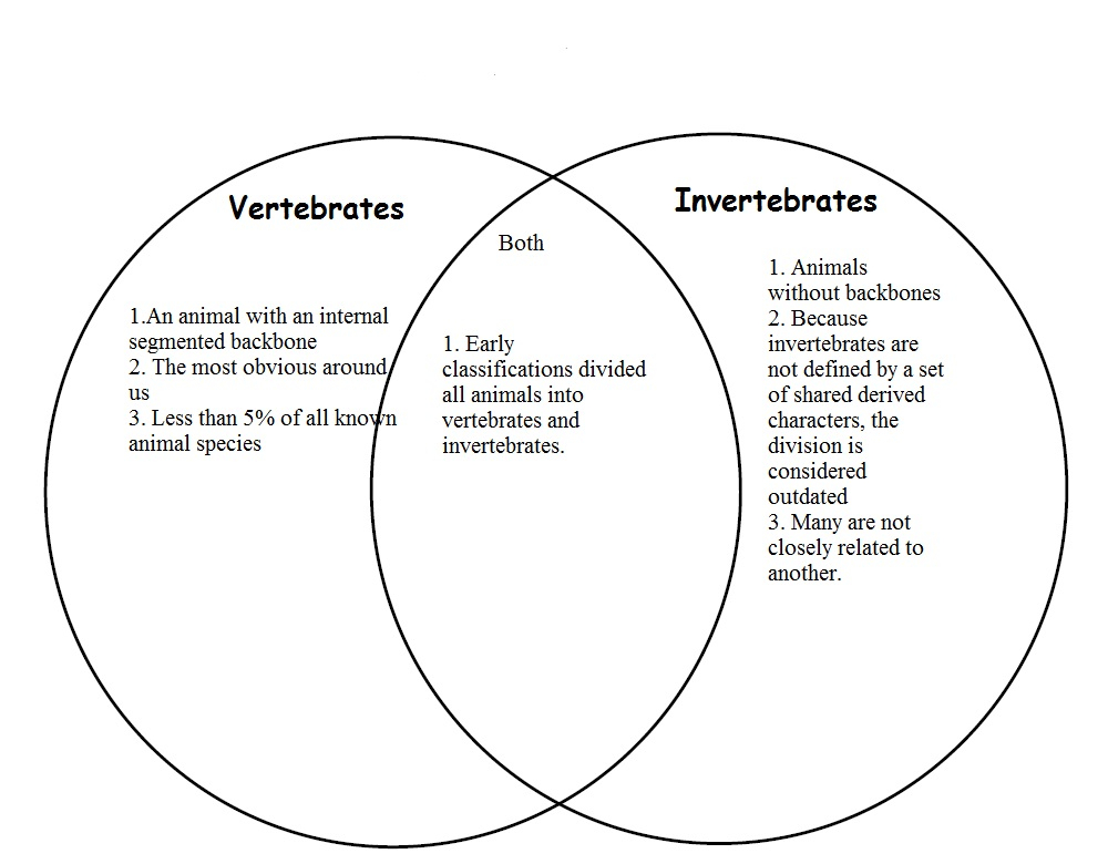 Flow Chart Of Vertebrates And Invertebrates Flow Chart Of Vertebrates 