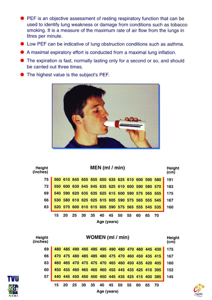 Flow Chart Peak Expiratory Flow Process Flow Chart Images And Photos 