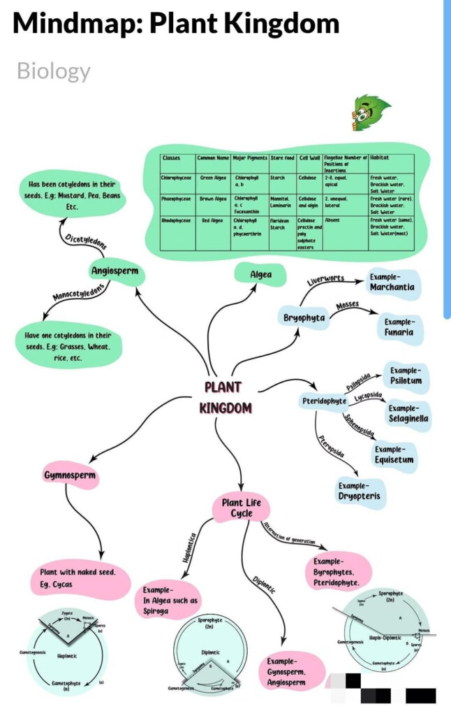 Flow Chart Plant Kingdom Artofit